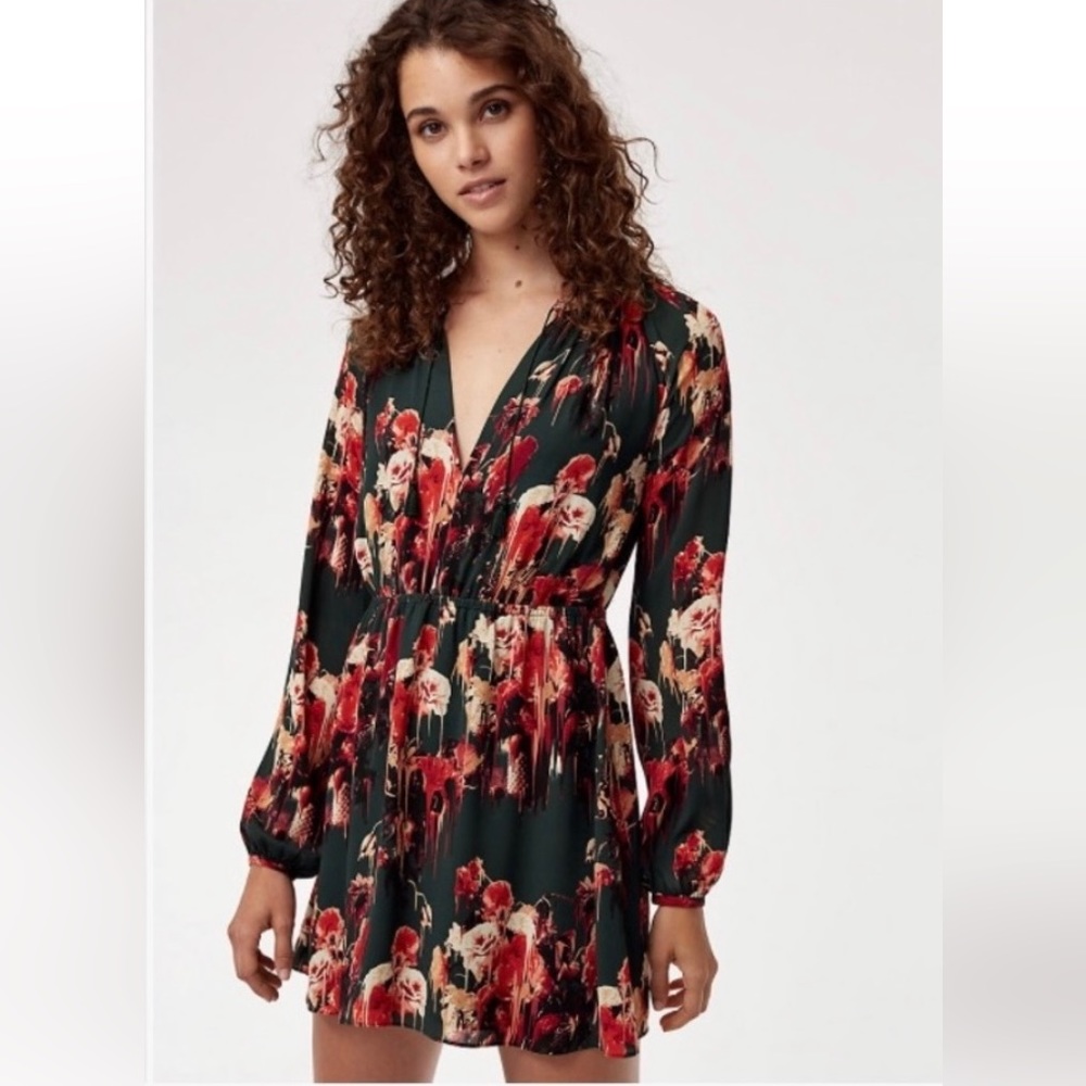 Aritzia Talula Dress